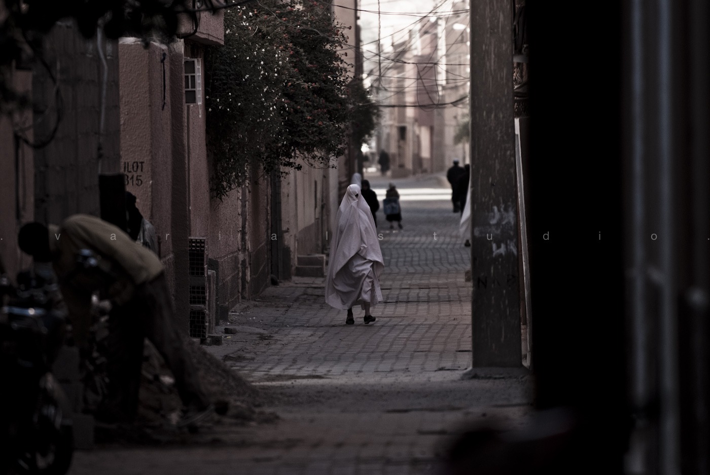 Regard d’Algérie