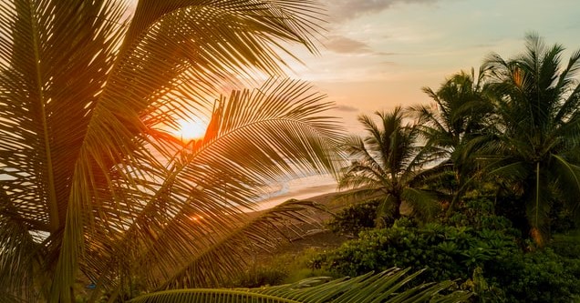 Les Parcs Nationaux du Costa Rica