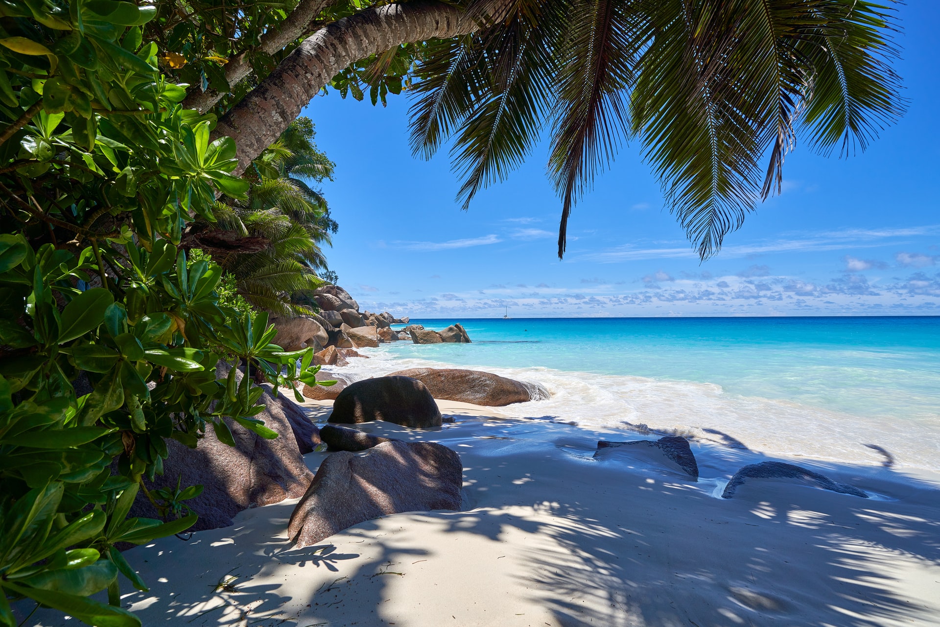 Tout savoir sur l’assurance voyage Seychelles