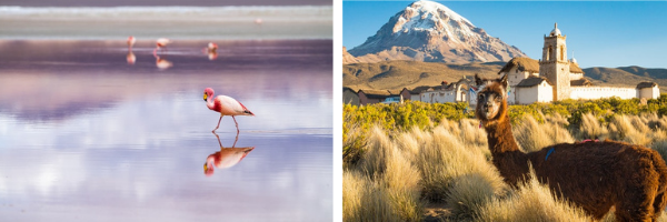 Assurance voyage Bolivie - paysages