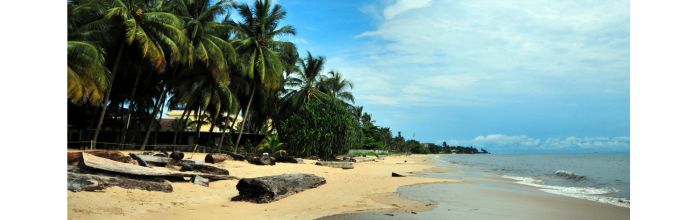 La santé au Gabon : conseils pour voyageurs